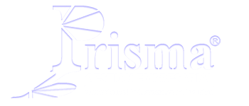Prisma Gestión Empresarial